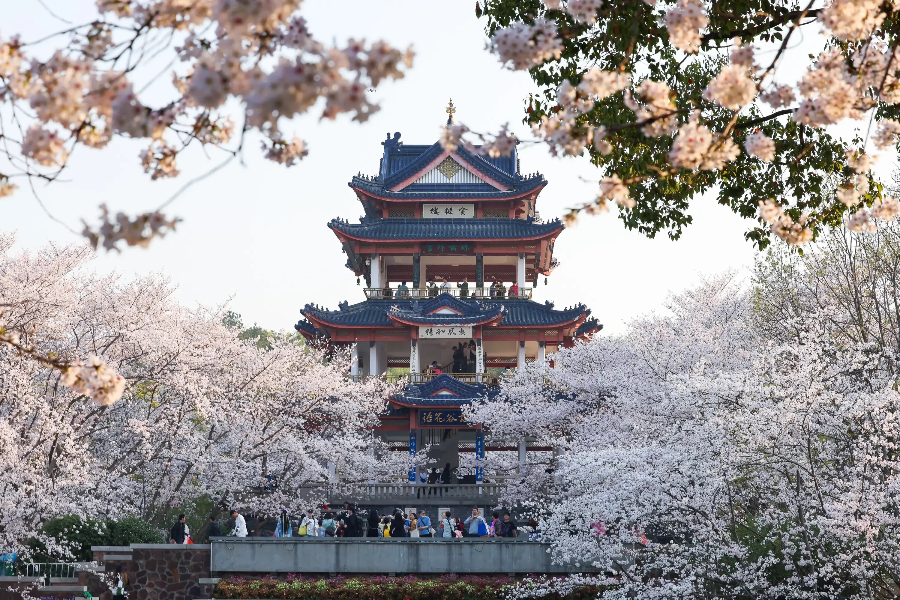 无锡太湖鼋头渚风景区3.webp