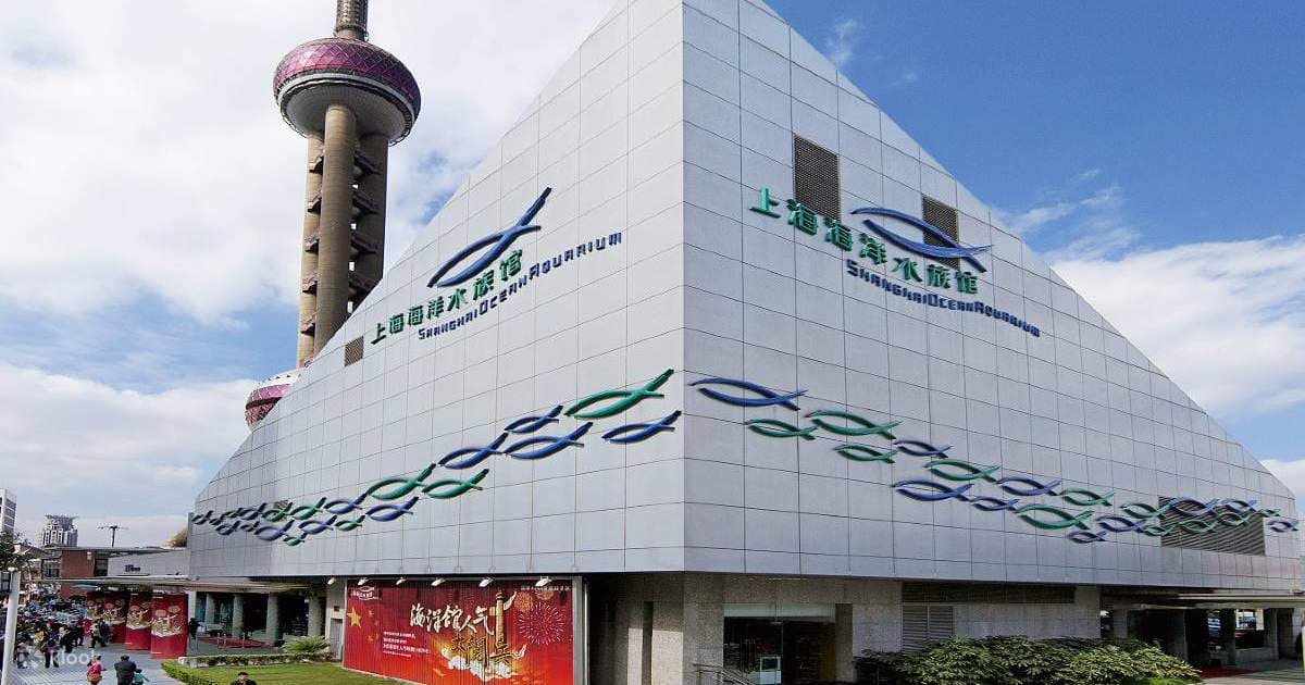 Шанхайский океанариум