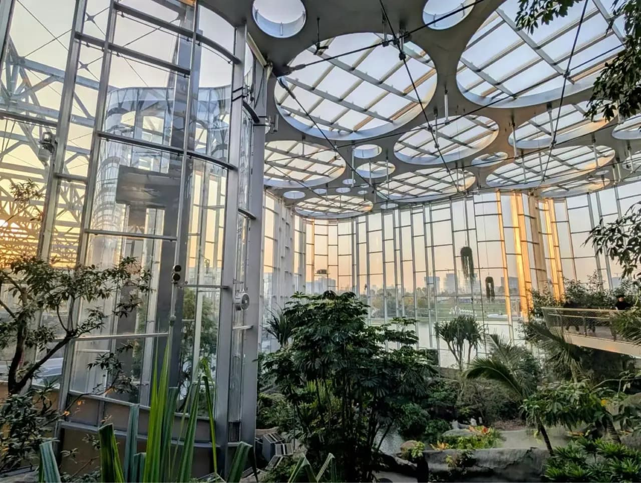 Шанхайский оранжерейный сад