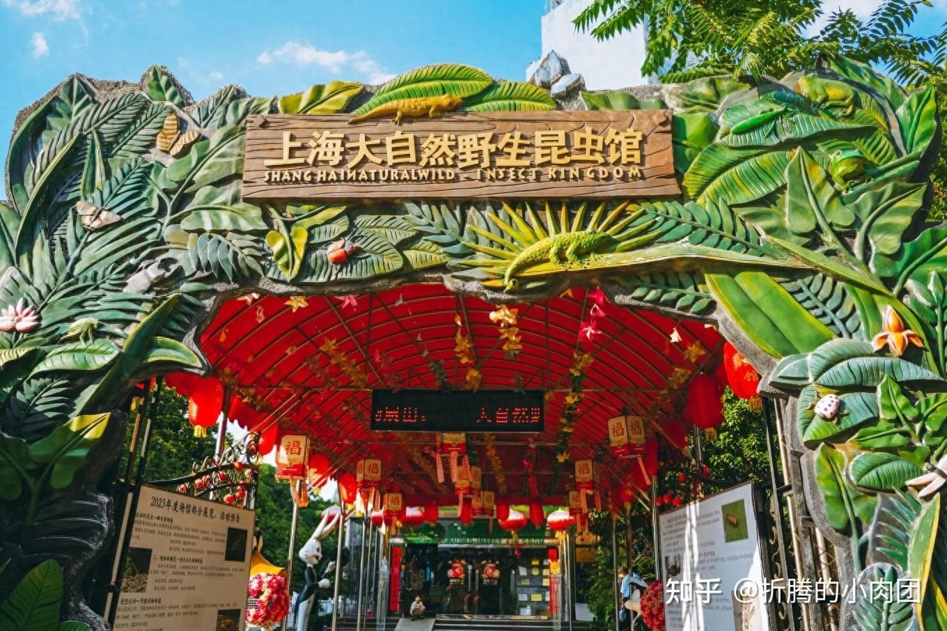 Шанхайское королевство диких насекомых 